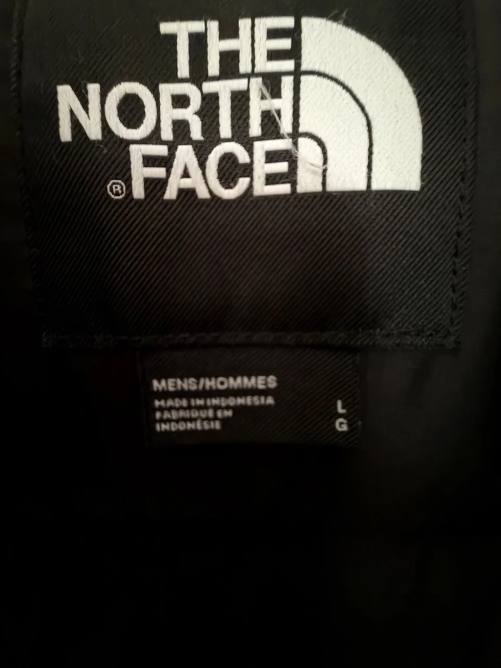 The North Face this large